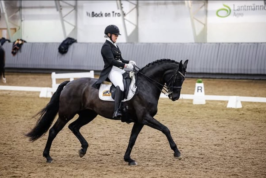 Ylirautia Dressage