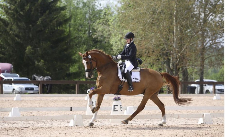 Hevoset Mats