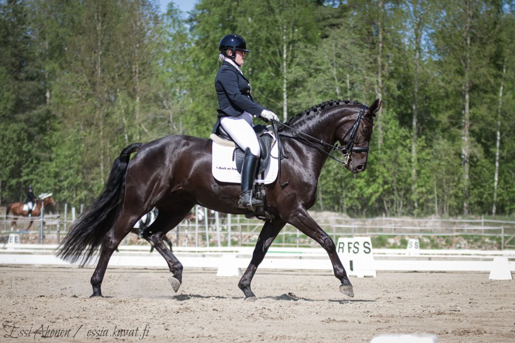 Hevoset Fasu