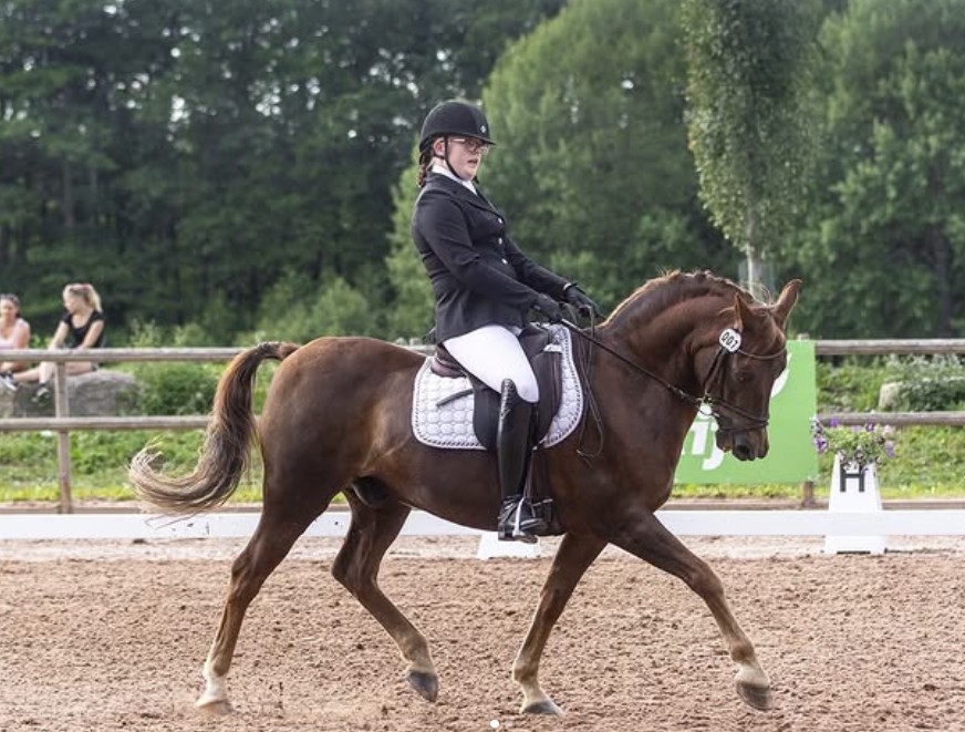 Hevoset Casperos