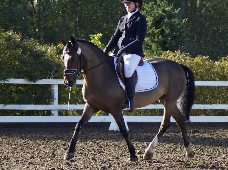 Hevoset Masi
