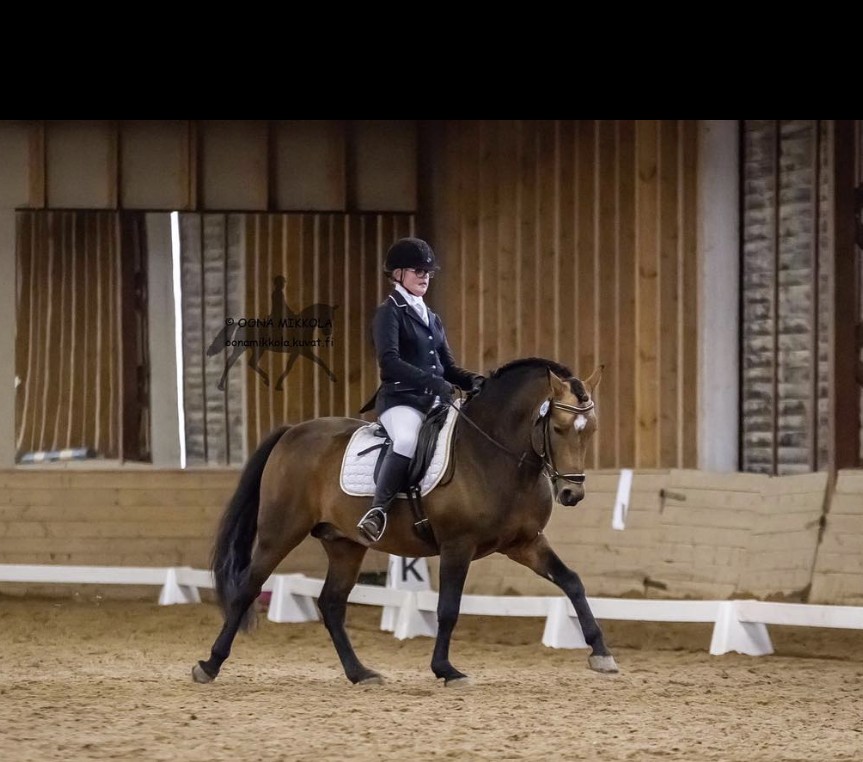 Hevoset Wili