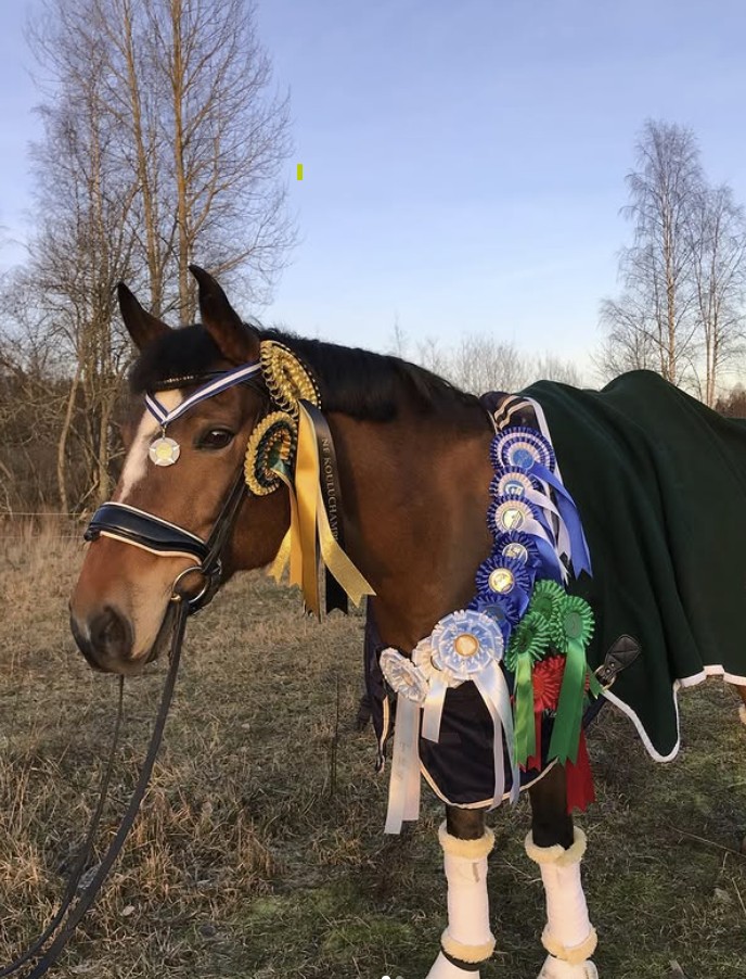 Masi ja Oona